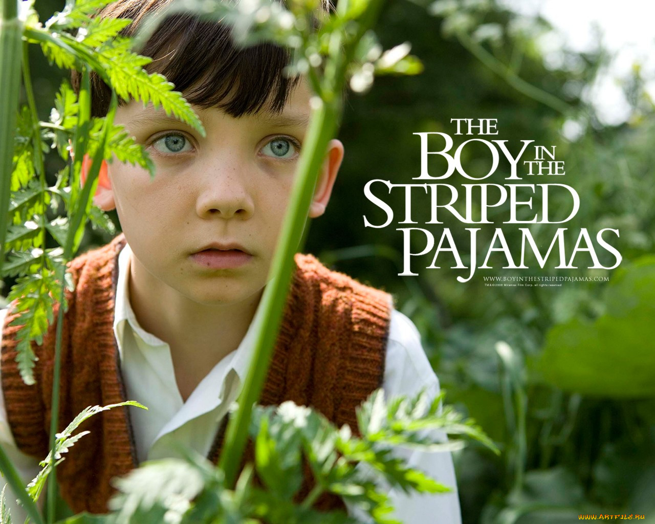 the, boy, in, striped, pyjamas, , 